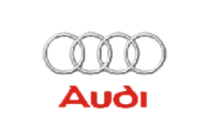 Audi auto parts stamping Farbrication